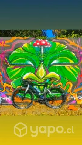 Bicicleta de ruta de Carbono - Java Suprema