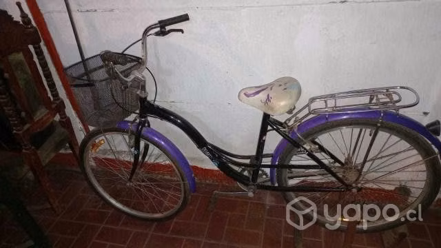 Bicicleta de paseo