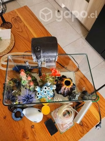 Acuario Equipado (Usado)