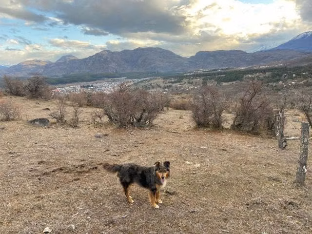 Terreno de 1 hectárea