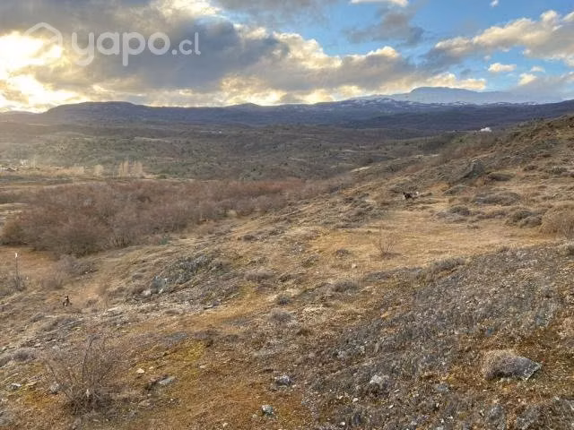Terreno de 1 hectárea