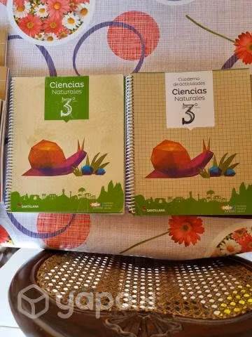 Libros santillana 3 basico "todos juntos"