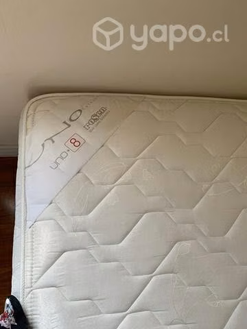 Cama rosen