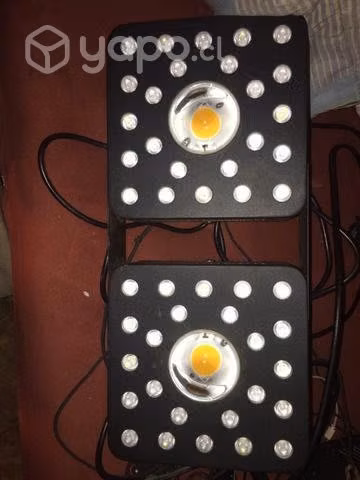 Luz led spectra black - Imagen 2