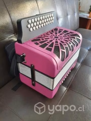 Acordeon FUE ROBADA FAVOR AVISAR SI LA VEN