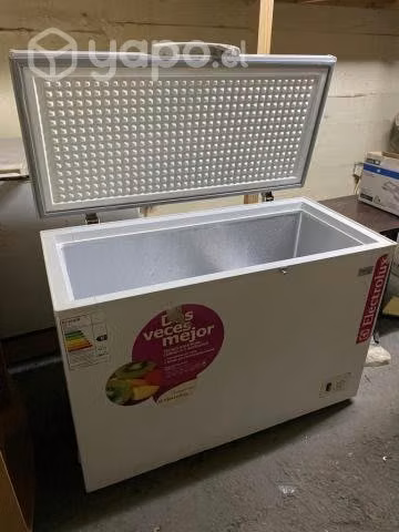 Frizzer para restorant
