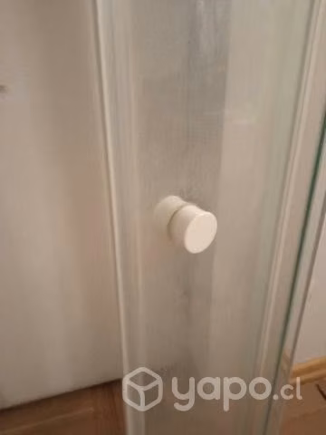 Shower Door 80 x 80 curvo