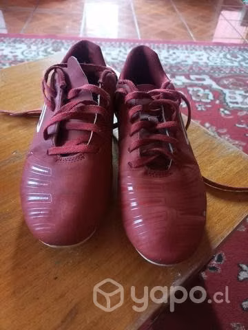 Chutiadores umbro - Imagen 2