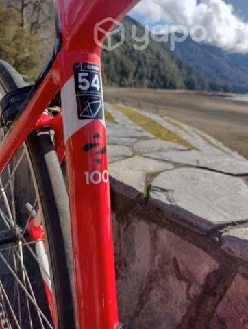 bicicleta Felt z100