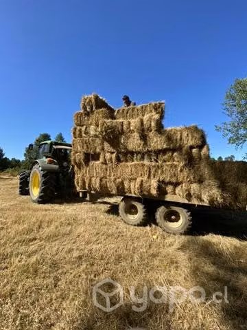 Fardos pasto natural