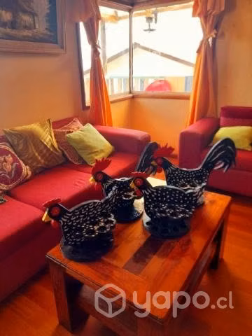 Hermosas gallinitas y gallos para huevos