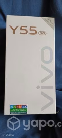 Vivo Y55 5G