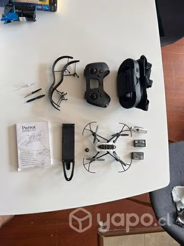 Drone parrot