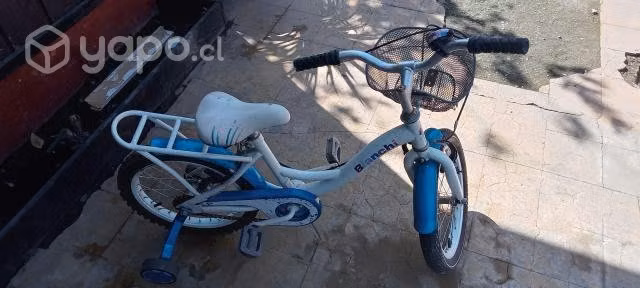 Bicicleta