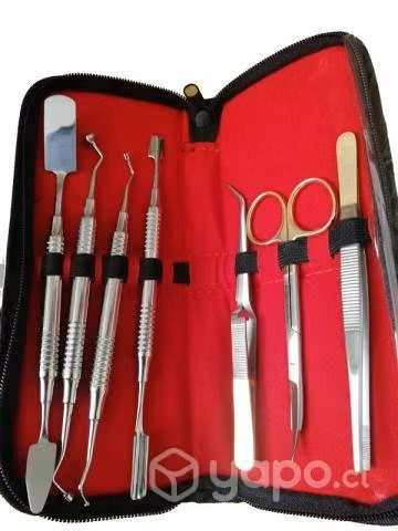 Set de 7 Herramientas dentales con estuche