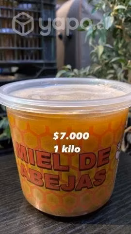 Miel de Quillay