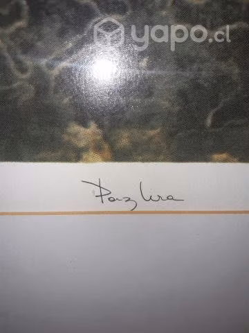 Gran litografía de Paz Lira autografiado original - Imagen 3