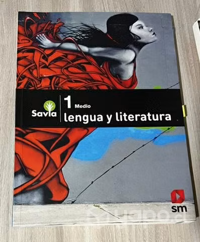 Libros escolares colegio Bautista