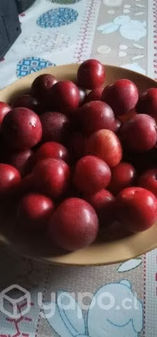 Ciruelas