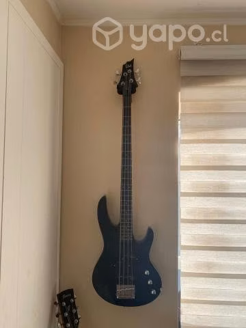 Bajo LTD usado