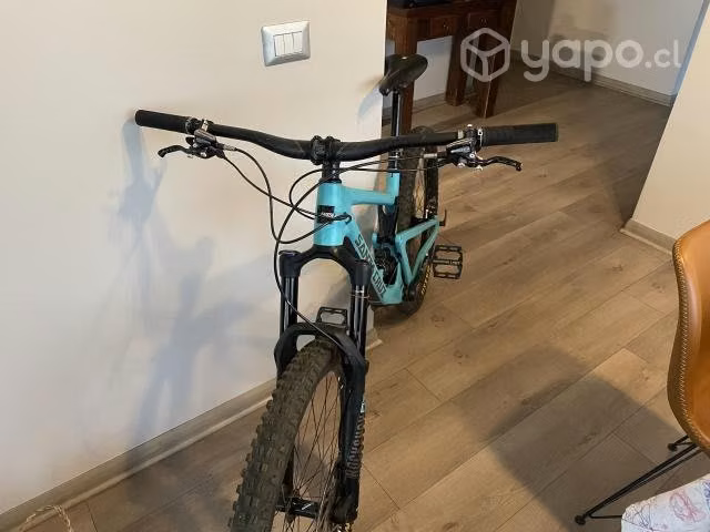 Santacruz Bronson C