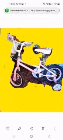 Bicicleta Niña