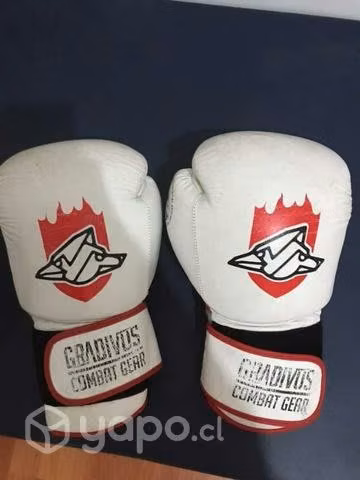 Guantes de boxeo GRAVIDUS!