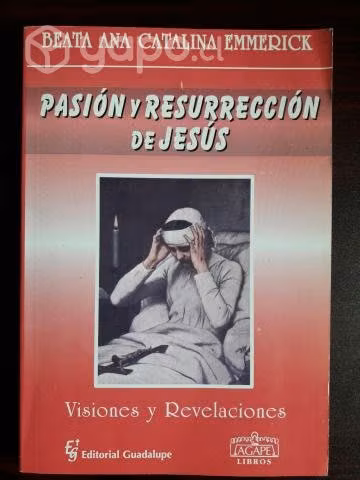 Pasión Y Resurrección De Jesús