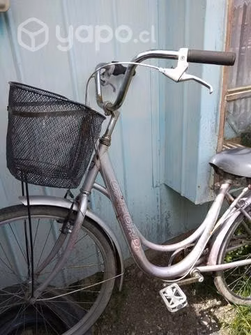 Bicicleta de paseo