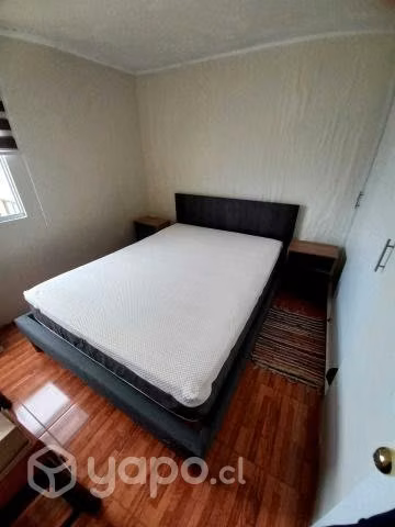 Cama Europea CIC 2 Plazas Ortopedic