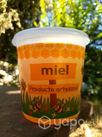 Miel de Abejas Multifloral 100% artesanal 1kg - Imagen 2
