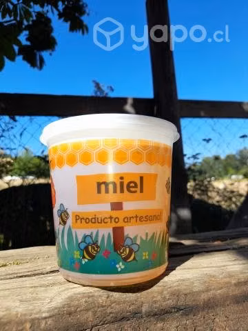 Miel de Abejas Multifloral 100% artesanal 1kg