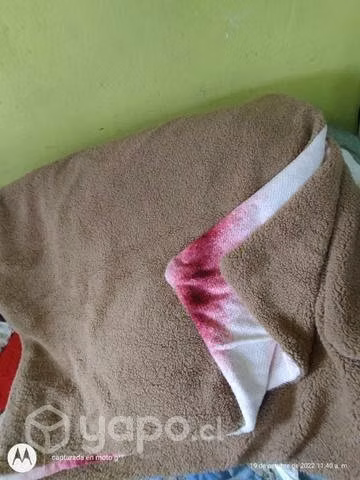 Frasadas américanas plaza y media muevas gruesas
