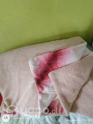 Frasadas américanas plaza y media muevas gruesas