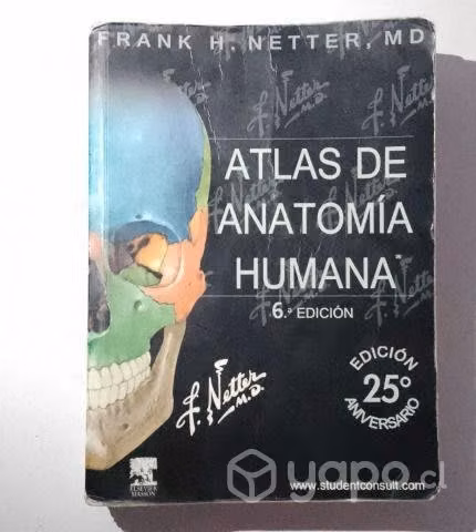 Atlas de Anatomía Humana, Netter 6ta edición