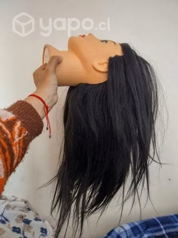 Cabeza tecnica 80/20 incluye soporte