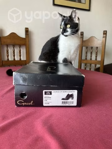 Zapatos Gacel
