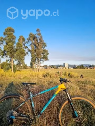 Polygon Xtrada 7 aro 29 1x