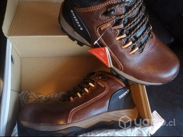 Botin de seguridad