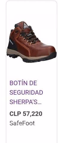 Botin de seguridad