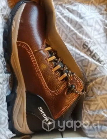 Botin de seguridad