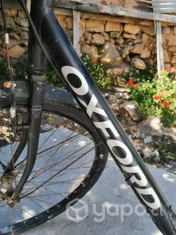 Bicicleta Oxford - Imagen 2