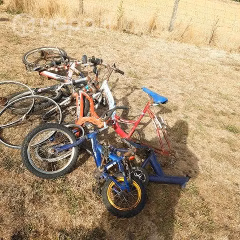 Bicicletas