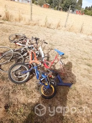 Bicicletas