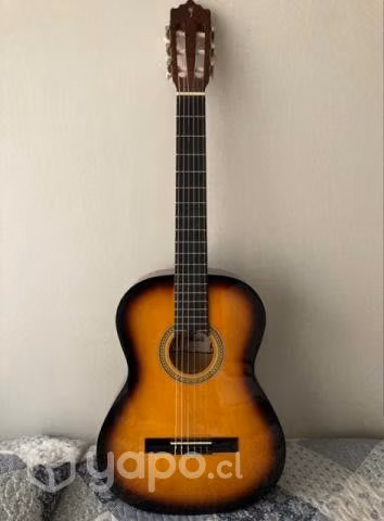 Guitarra acustica Palmer