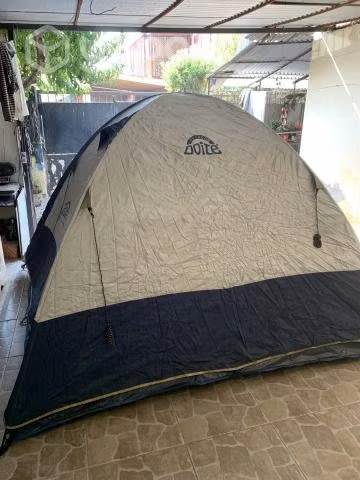 Carpa Doite