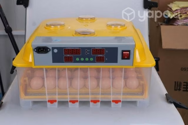 Incubadora 48 huevos volteo automatico