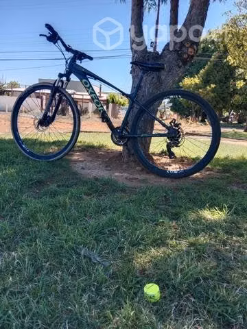 Bicicleta Oxford merak