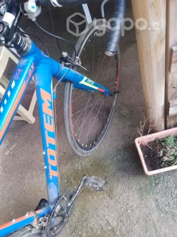 Bicicleta Totem RUTERA