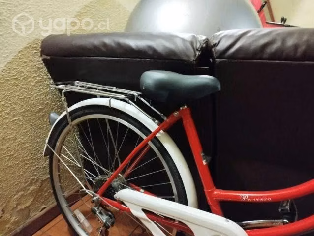Bicicleta lahsen - Imagen 2